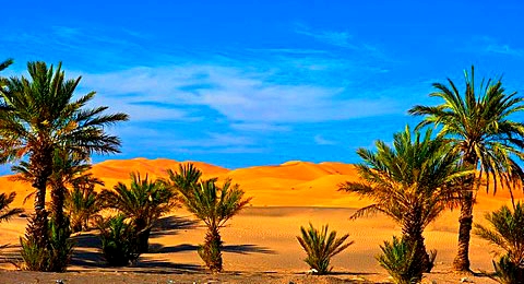 Rota de 5 dias de Marrakech ao deserto do Saara