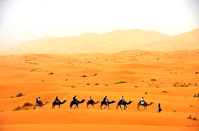 excursion de camello y noche en el desierto