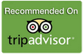 TripAdvisor Reviews