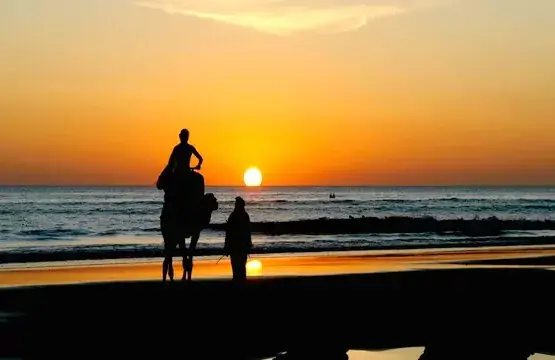 Escursione da Marrakech a Essaouira