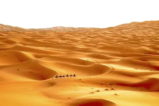 Excursaõ de camelo no deserto do Marrocos