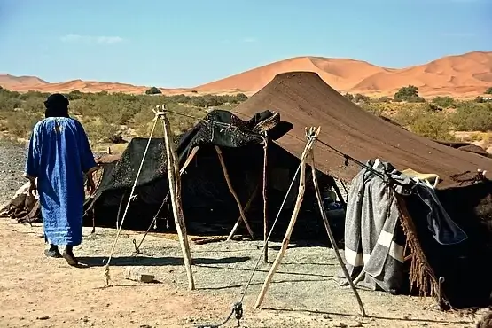 Paseo de camellos en sahara Marruecos