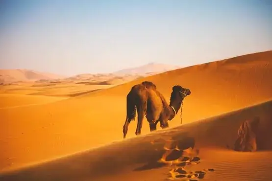 marrocos viagen