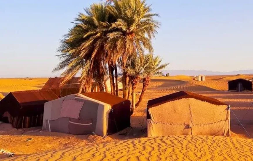 Circuit désert de 2 jours de Marrakech vers Zagora