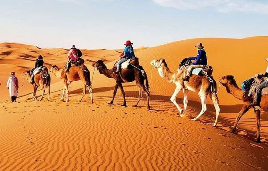 Excursión de 3 días desde Marrakech a Fez por el desierto