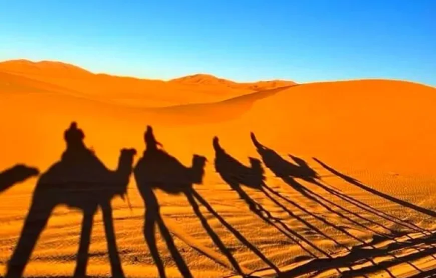 Circuit de 4 jours de Marrakech à Fès via le désert
