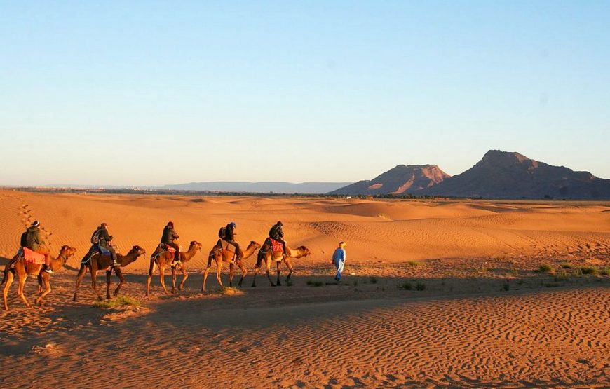 2 Day Desert Tour from Marrakech to Zagora