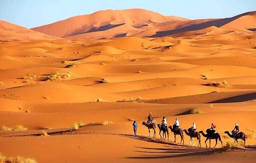 12 Jours de Marrakech vers les villes impériales, sud et nord