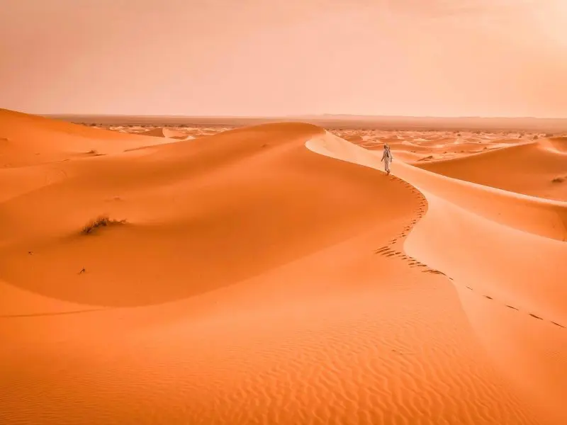 Merzouga 2-day Sahara desert trek