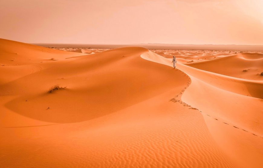 2-Day Sahara Trekking