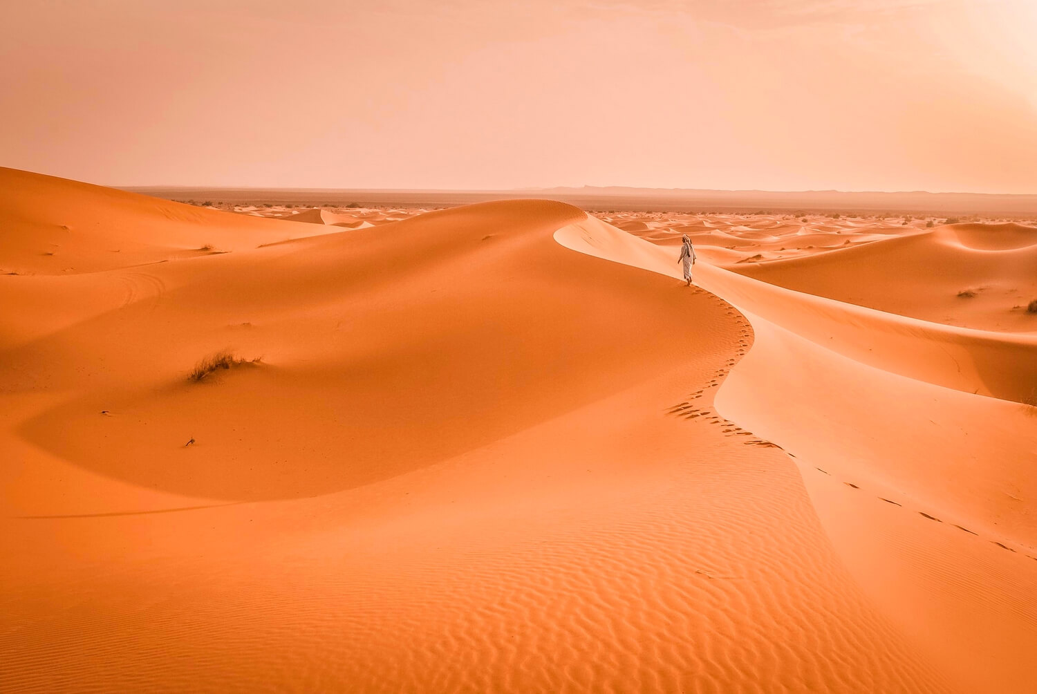 Merzouga 2-day Sahara desert trek