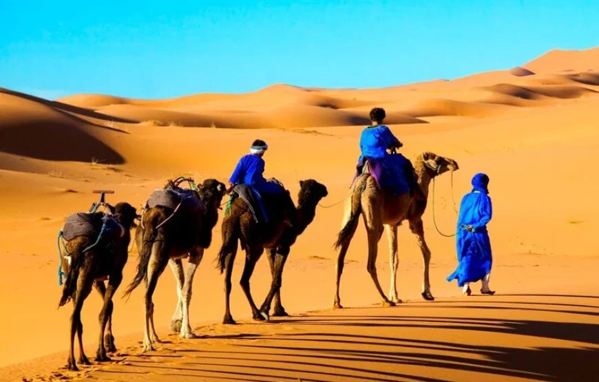 20-Day trip from Casablanca (The Best of Morocco)
