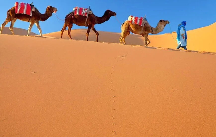 Viaggio di 30 giorni da Casablanca (Un mese in Marocco)