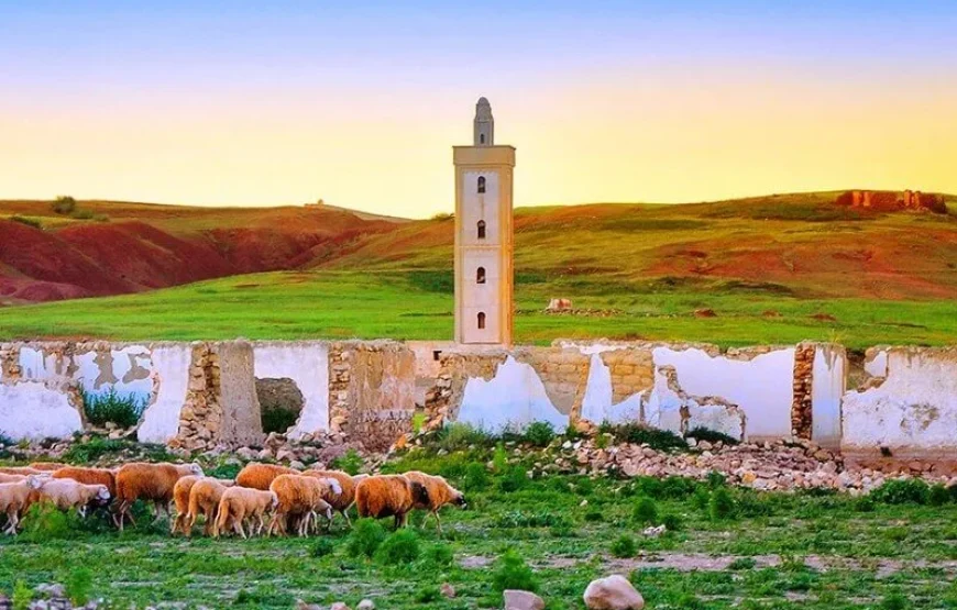 Excursión de 4 días al desierto del Sáhara desde Fez