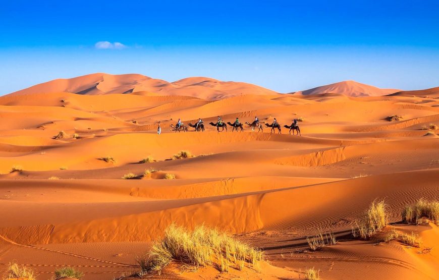5-Day Sahara Camel Trek
