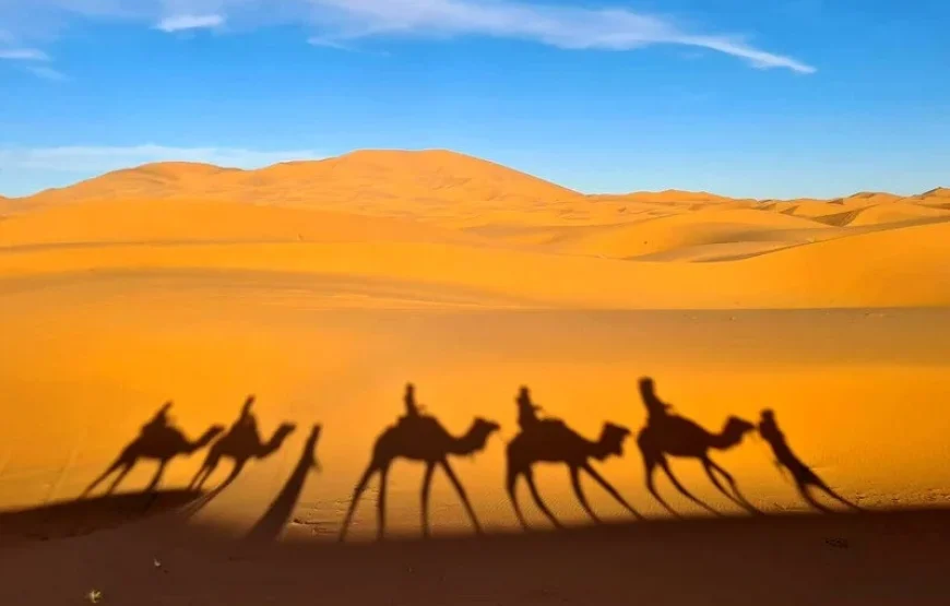 Excursión de 5 días por el desierto desde Fez hacia el sur