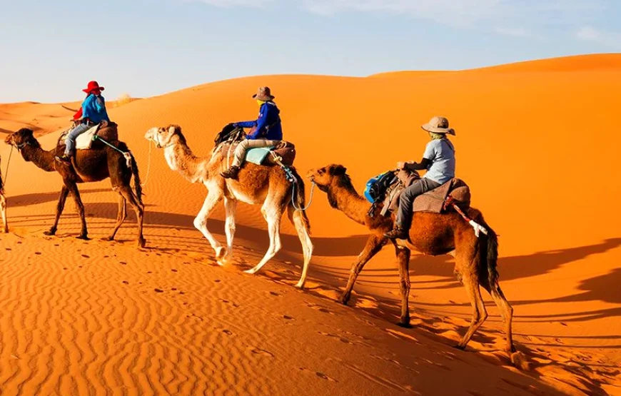 6 Giorni tour da Casablanca a Marrakech via Fes e deserto