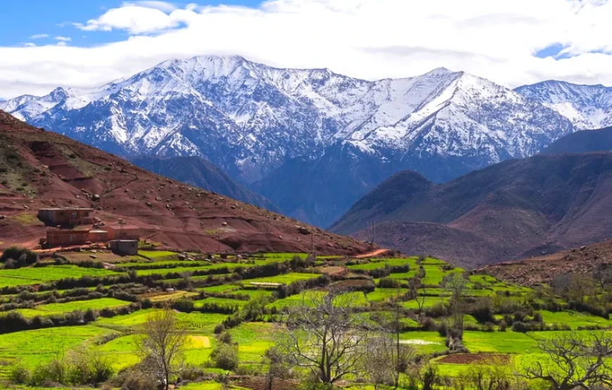 6 Giorni tour da Casablanca a Marrakech via Fes e deserto