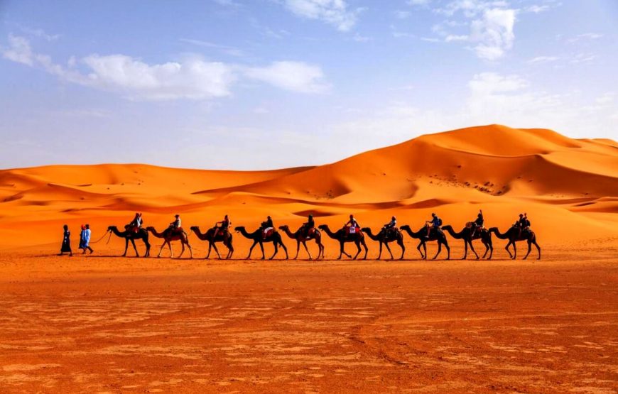 Camel Trekking in Merzouga