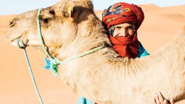 Collaborate with a Morocco travel company