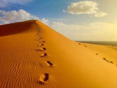 Merzouga Oasis