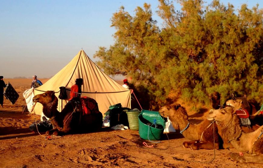 6-Day Sahara Desert Trekking