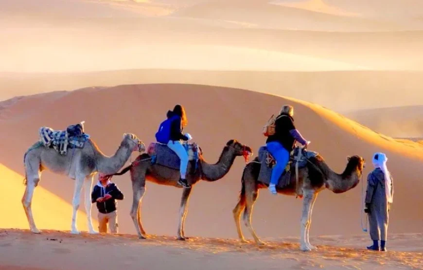 Circuit désert de 4 jours de Fès à Marrakech via le sud