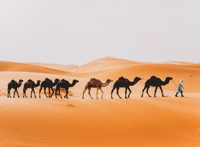3 Day trip from Fes to Merzouga's Desert