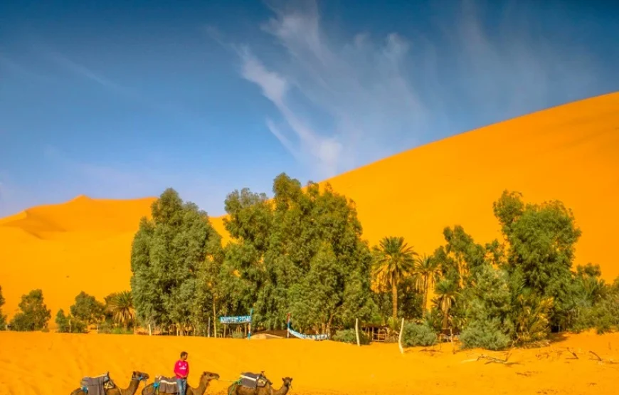 One week in the Moroccan desert (Camel ride, ATV/Quad, 4×4 Tours)