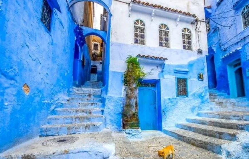 10 Giorni da Marrakech al deserto, Fes, Chefchaouen e Rabat