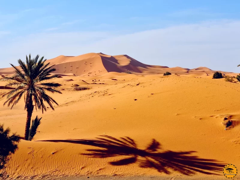 Merzouga Desert