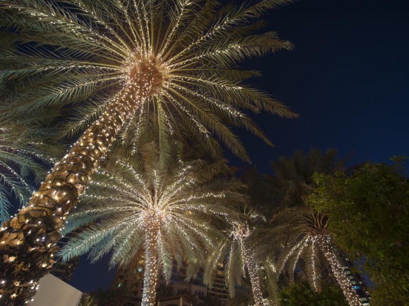 Christmas and new year in Morocco